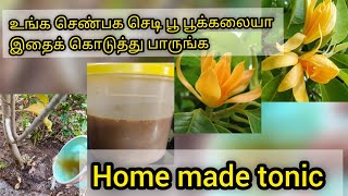 SHENBAGAM PLANT  HOME MADE FERTILIZER //செண்பகப்பூ செடிக்குமாதம் 3 முறை Organic Tonic #உரம்#செண்பகம்