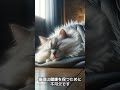 10秒でわかる猫の睡眠 快適な眠りが健康の秘訣 猫の睡眠 ペットの健康 快眠の秘訣 猫の生活 猫のリラックス