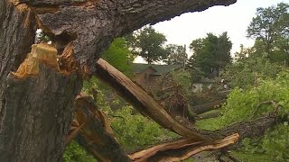 Clean Up Continues In Storm-Ravaged Brainerd