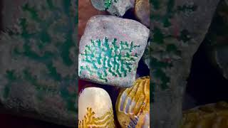 特色料上一波，喜欢的来 #缅甸翡翠原石 #crystals #翡翠 #天然翡翠 #以翠会友 #crystalshop