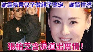 謝霆鋒帶兒子做親子鑑定，謝賢憤怒， 張柏芝含淚道出實情！