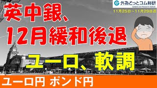 週刊為替レポートハロンズ・ダイジェスト（ユーロ/円、ポンド/円）-11月25日～11月29日週