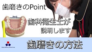 歯磨きの方法とPointについて歯科衛生士が説明します　※監修 さいとう歯科クリニック