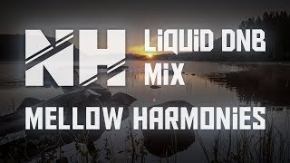 Mellow Harmonies (Liquid Drum & Bass Mix)