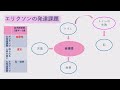 エリクソンの発達段階・発達課題を覚えよう【看護国試聞き流し】