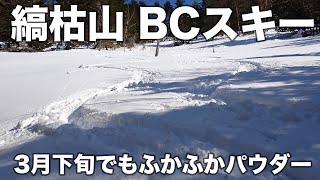 縞枯山 BCスキー 2024年3月22日 3月下旬でもふかふかパウダー