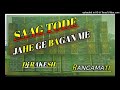 Saag Tode Jahe Ge Bagan Me | Dj Rakesh Rangamati