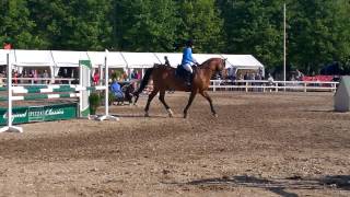 2015 07 22 Hanko SeaHorse Week 100 cm