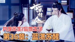 共度余生（陈情令续写）忘羡生子/第36章：蓝湛苏醒