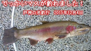 デカイの釣ったぜ！戸神の池釣行　2015年12月4日