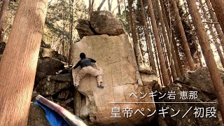 皇帝ペンギン／初段 恵那（里エリア）