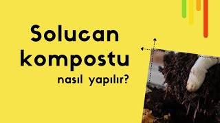 Solucan kompostu nasıl yapılır? İçine neler atılır, neler atılmaz?