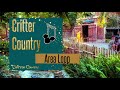 AUDIO - Critter County Area Music Loop