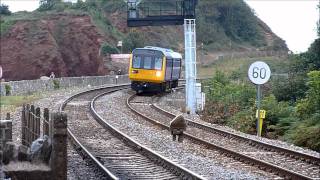 First Great Western Class 142 \u0026 HST at Dawlish Warren