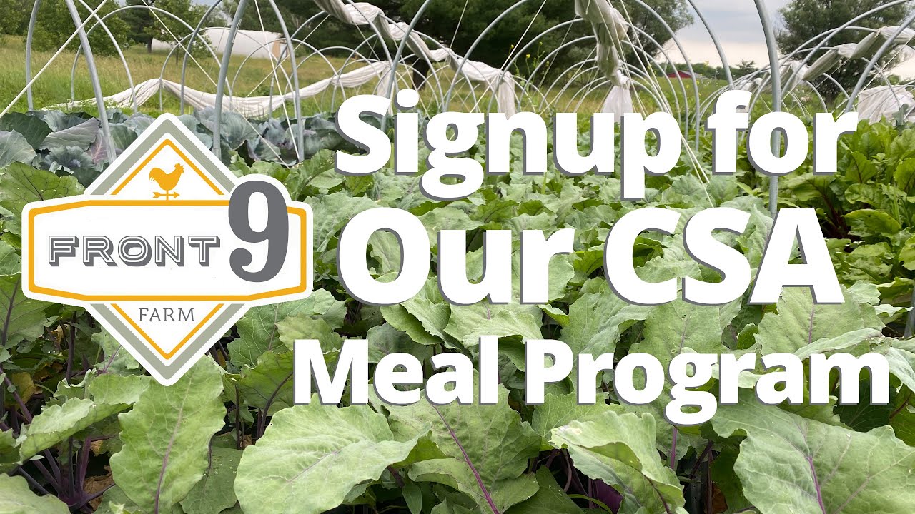 Learn About Our Csa Meal Program Youtube