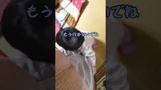 まだ部屋から出られなかった頃の後追い【修正月齢11ヶ月半】#赤ちゃん #後追い #11ヶ月 #shorts