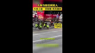 大狗當街狂吠咬人，大哥上前一招制服社會百態文明養狗