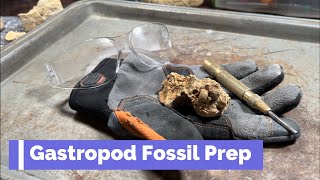 Quickest 🐚⛏️Gastropod Fossil Prep Yet!! #fossil #fossilprep #teamrockit