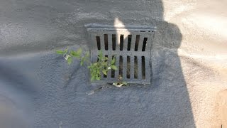 福生市 雨漏り 原因 ウレタン防水