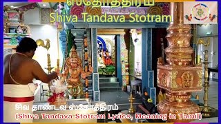 சிவ தாண்டவ ஸ்தோத்திரம் (Shiva Tandava Stotram Lyrics, Meaning in Tamil)