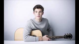 Shawn Mendez - Theres Nothing Holding Me Back Clean