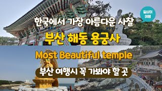 4K 부산여행에서 꼭 가봐야 할 곳! 한국에서 가장 아름다운 절 해동 용궁사 소원을 이루어 주는 곳 부산 필수 여행지