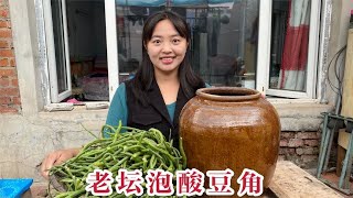 东北菜园里长豇豆泛滥，小梦用南方做法腌一坛酸豆角，做法真简单