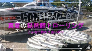 爆釣‼️真夏のビワマストローリング