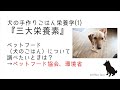 【犬の手作りごはん栄養学解説】001：三大栄養素について解説します