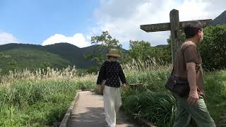 【やまなみハイウェイ】そうだ！阿蘇くじゅう国立公園　長者原 タデ原湿原へ行こう！