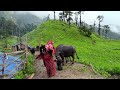 beutifull nepali lifestyle of jajarkot nepal village life of nepal