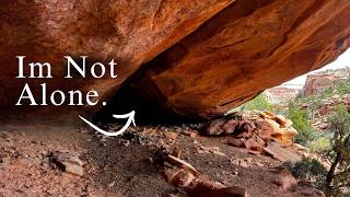 I Found a Secret Water Source Deep Inside a Desert Cave