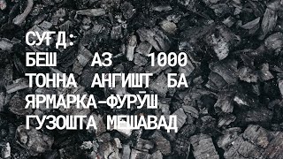 СУҒД: БЕШ АЗ 1000 ТОННА АНГИШТ БА ЯРМАРКА-ФУРӮШ ГУЗОШТА МЕШАВАД