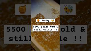 Why Honey Never Spoils: A Bee’s Hard Work Explained 🍯