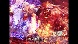 魔物獵人 世界 #14 只有跪拜一途｜炎王龍、炎妃龍｜尖叫型玩家