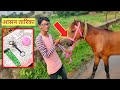 Easy way to make horse bridle In Hindi