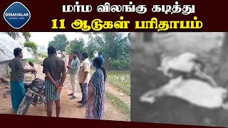 விவசாயிக்கு கடும் நஷ்டம்   Goats death   Attur   salem