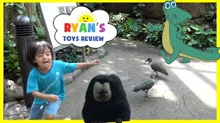 KIDS Trip to Rainforest with lots of Animals!!