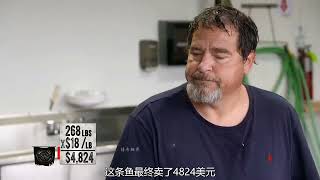 老船长钓到一条几百斤的大鱼，兴奋的马上返回码头卖掉