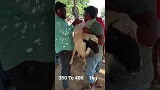 Tirupati sheep's market