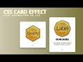 CSS Card Hover Effects | Expand/Collapse Cards with Cool Animation | HTML & CSS