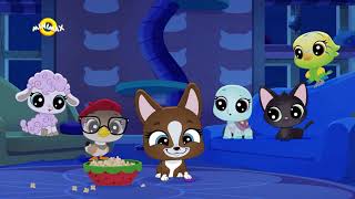 Littlest Pet Shop: Náš kouzelný svět