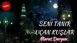 Seni tanır uçan kuşlar/müziksiz ilahi 2021/Murat Durgun