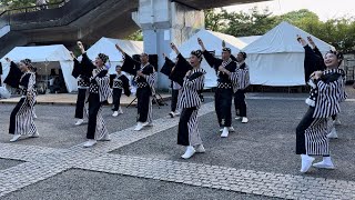 ちゃきる 原宿表参道元氣祭 スーパーよさこい2024 交流広場