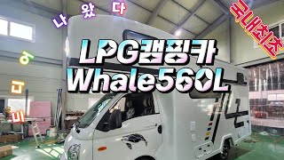 드디어 나왔다. LPG 캠핑카 Whale560L #캠핑카 #모터홈 #포터lpg #친한사이 #포터캠핑카 #친환경캠핑카