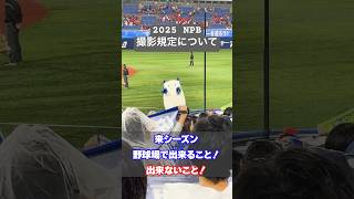 プロ野球観戦ルール規定2025 まとめ【おふざけあり】 #shorts #野球観戦 #vlog