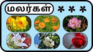 மலர்களின் பெயர்கள் | flowers names | பூக்களின் பெயர்கள்