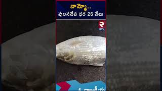 Pulasa Fish Record Rate In Yanam | యానంలో రికార్డ్ ధర పలికిన పులస చేప | Pulasa Fish Price | RTV