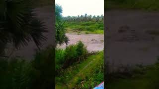 Water fall from Nainaragaram Dam || Nrgm 2018