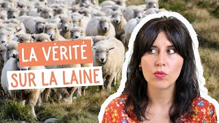 C’est quoi le problème avec … 🐑 LA LAINE ? Les moutons ont besoin d’être tondus !